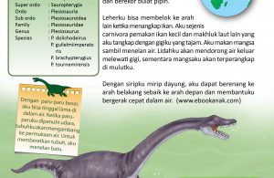 Ketika paru-paru Plesiosaurus dipenuhi udara, tubuhnya akan mengambang ke permukaan air.