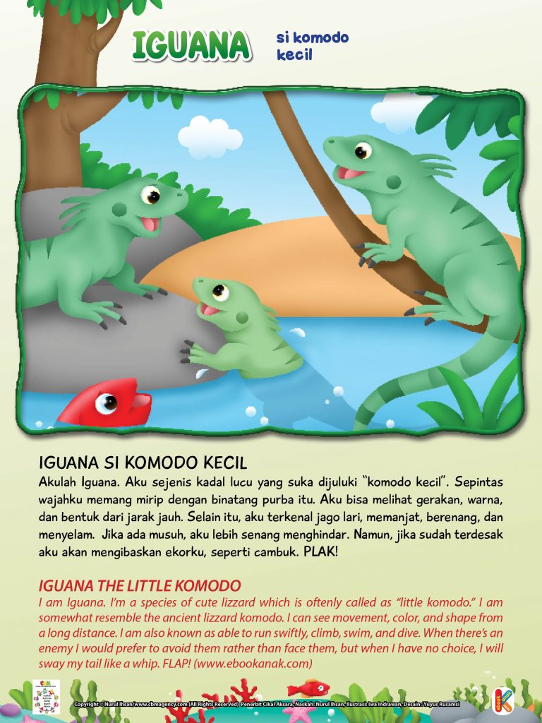 Wild & Pet Animals.jpg 23 iguana