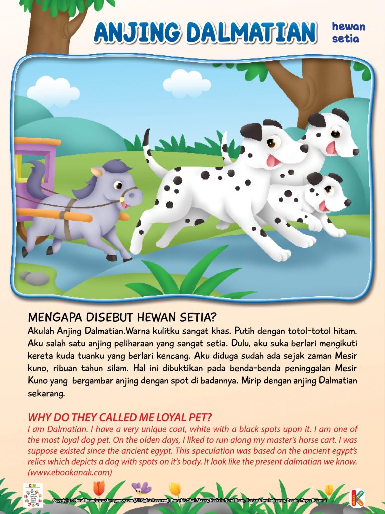 Wild & Pet Animals.jpg 29 anjing dalmatian