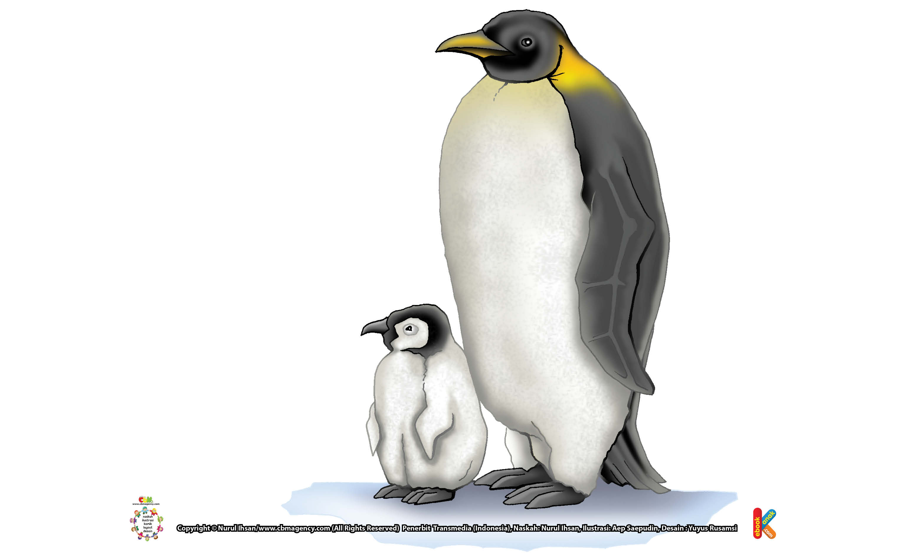 Penguin Kaisar, Penguin Terbesar di Dunia