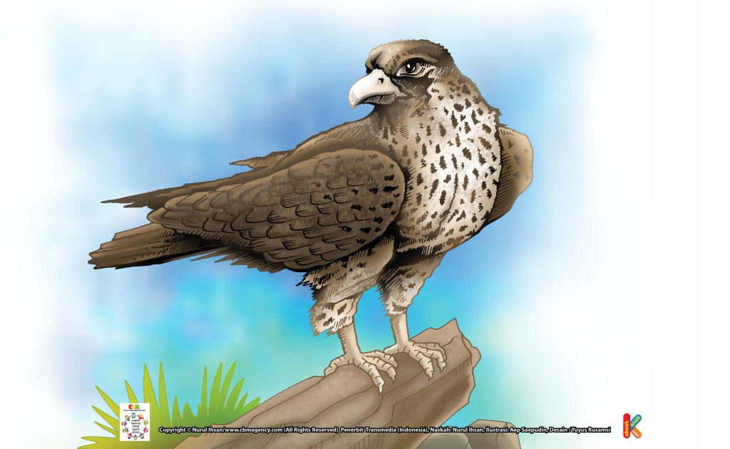 ilustrasi-elang-peregrine