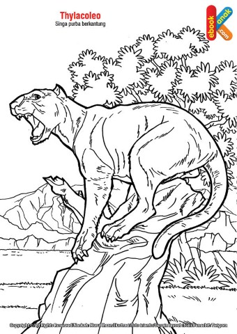 Thylacoleo, Singa Purba Berkantung