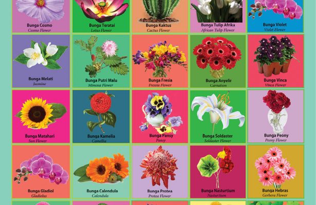 download gratis poster belajar mengenal jenis jenis bunga