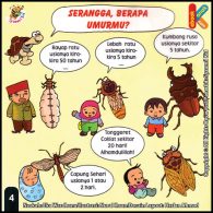 baca online ebook seri balita cerdas mengenal serangga6