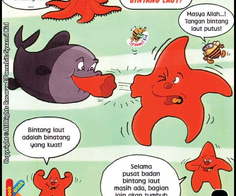 Kenapa Bintang Laut Disebut Binatang Yang Kuat?