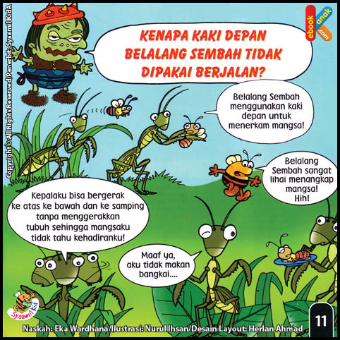 Kenapa Kaki Depan Belalang Sembah Tidak Dipakai Berjalan?