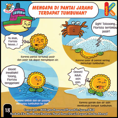 Mengapa di Pantai Jarang Terdapat Tumbuhan?