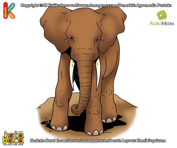 Kenapa Gajah Disebut Binatang Paling Rakus di Dunia?