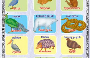 Kamus Visual Binatang Bergambar Dua Bahasa: Indonesia Inggris (8)