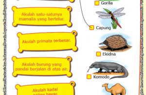 Worksheet PAUD TK Mengenal 100 Binatang Pemecah Rekor