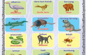 Kamus Visual Binatang Dua Bahasa Indonesia Inggris (1)
