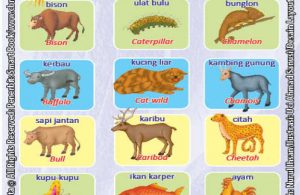 Kamus Visual Binatang Dua Bahasa Indonesia Inggris (2)