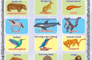 Kamus Visual Binatang Dua Bahasa Indonesia Inggris (6)