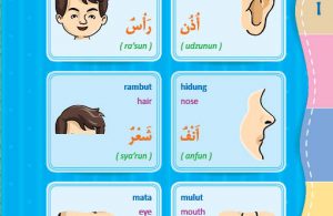 download gratis ebook pdf kamus bergambar 3 bahasa indonesia, inggris, arab tubuh manusia