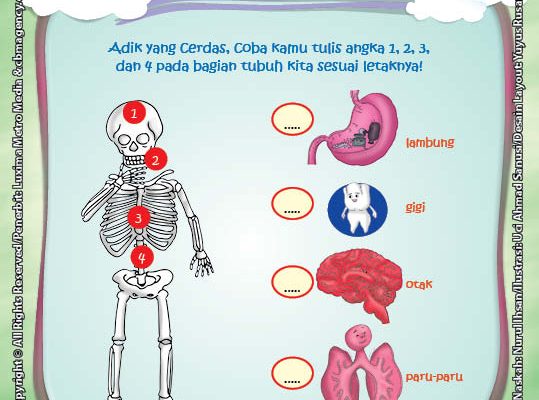 Seri Sains Anak Alam  Semesta  Rahasia Keajaiban Tubuh 