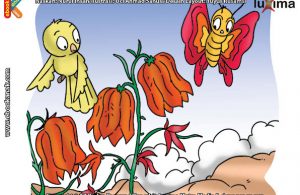 ilustrasi rahasia keajaiban tumbuhan, Benarkah Bunga Pengangguk Bisa Mengangguk-angguk Mirip Orang