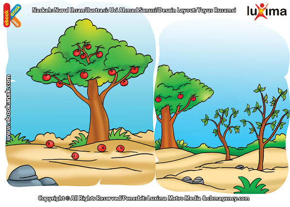 ilustrasi rahasia keajaiban udara, Bagaimana Cara Angin Menerbangkan Biji Tumbuhan