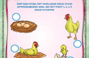 ebook rahasia keajaiban makhluk hidup, Lembar Aktivitas PAUD TK Mengenal Proses Perkembangbiakan Ayam