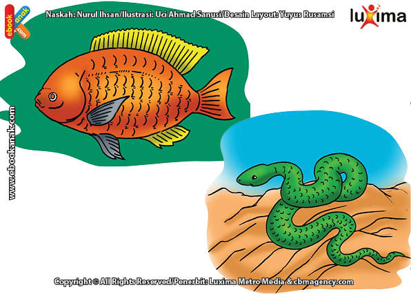 ilustrasi rahasia keajaiban makhluk hidup, Apa Manfaat Sisik Berlendir Bagi Ikan