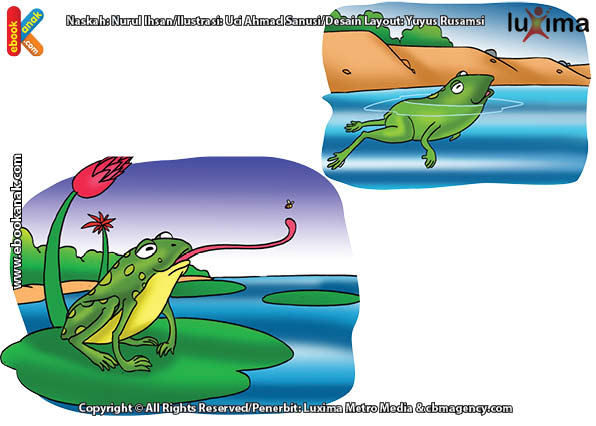 ilustrasi rahasia keajaiban makhluk hidup, Apa yang Dilakukan Katak Jika Kulitnya Mengering