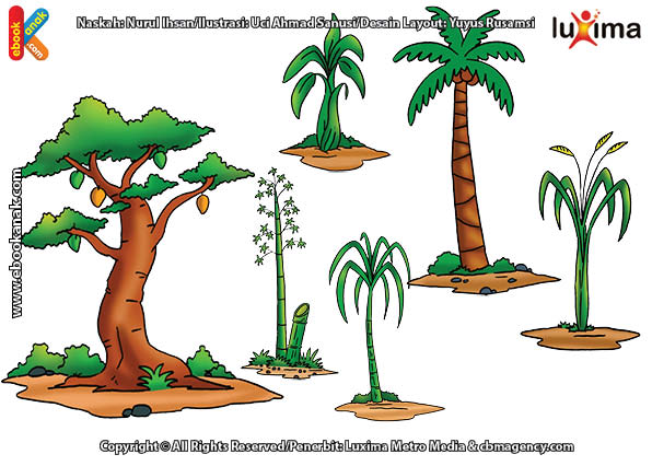 ilustrasi rahasia keajaiban makhluk hidup, Bagaimana Cara Tumbuhan Mengangkut Air dan Mineral