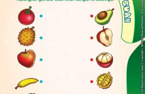 baca buku online brain games fun sains11 mengenal buah utuh dan isi buah