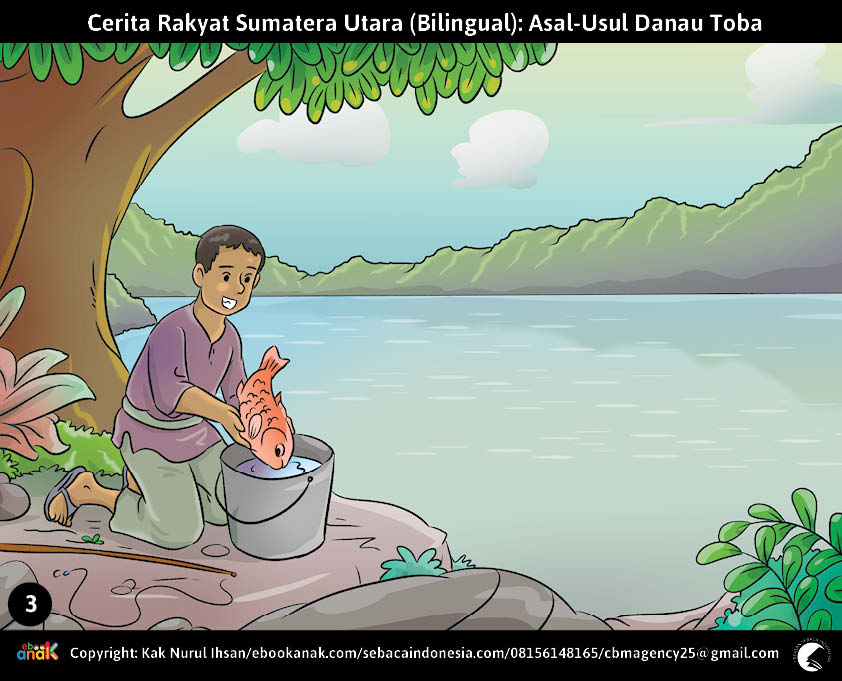 3. Toba Berhasil Memancing Seekor Ikan Mas Ajaib