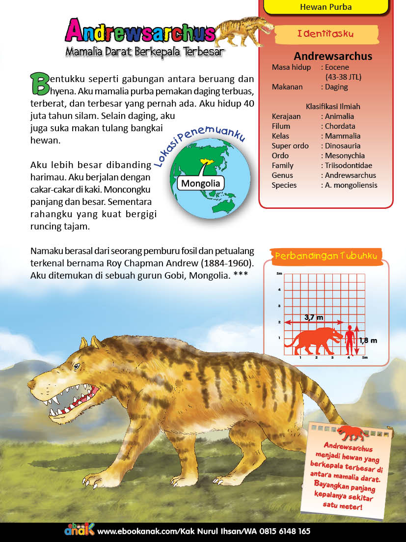 Andrewsarchus, Mamalia Darat Purba Berkepala Terbesar