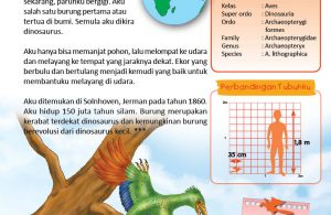 Archaeopteryx, Antara Burung Purba dan Dinosaurus