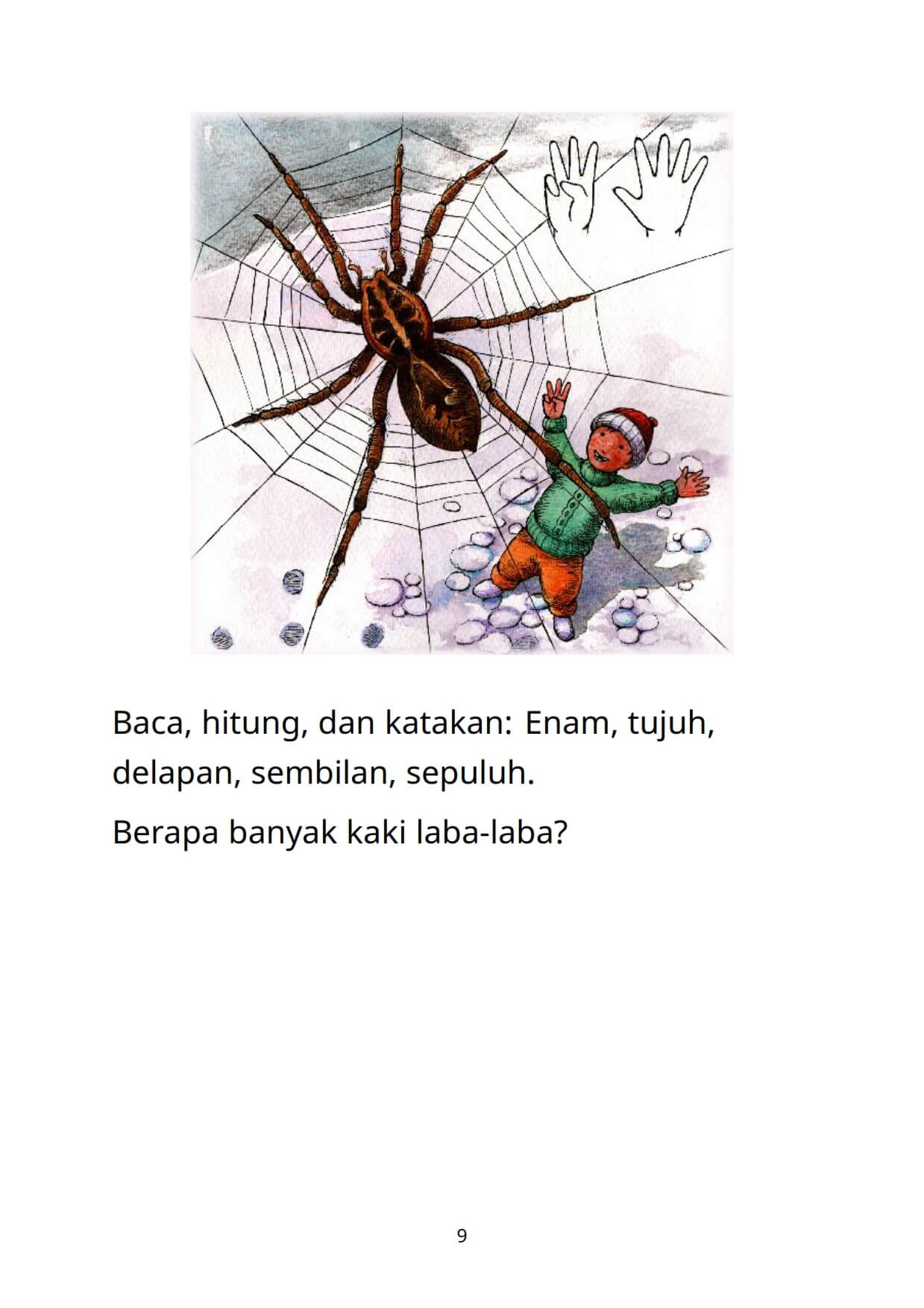 Berapa Jumlah Kaki Laba-Laba? | Ebook Anak