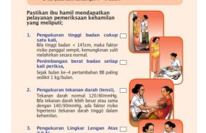 Buku Kesehatan Ibu dan Anak, Periksa Kehamilan (1)