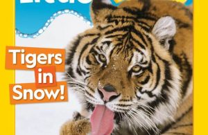 Download Majalah Digital National Geographic Little Kids Januari-Februari 2020