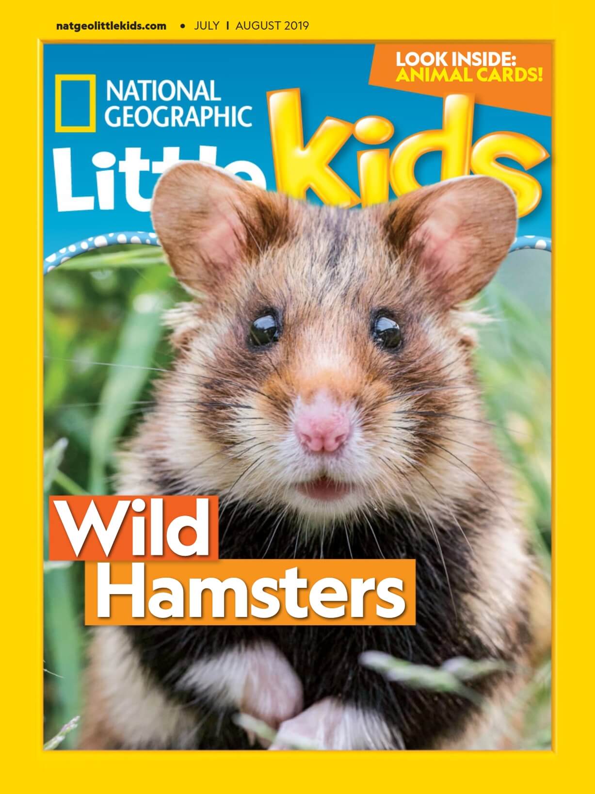 Download Majalah Digital National Geographic Little Kids Juli-Agustus 2019