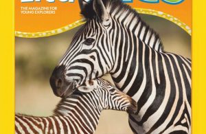 Download Majalah Digital National Geographic Little Kids Maret-April 2019