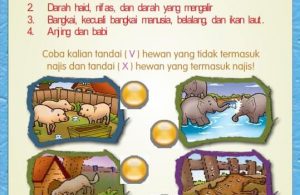 Ebook Buku Pintar Anak Shaleh, Najis (15)
