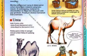 Ebook Legal dan Printable Aku Anak Cerdas Dunia Hewan 1, Binatang Pemakan Daging (10)
