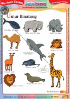 Ebook Legal dan Printable Aku Anak Cerdas Dunia Hewan 1, Umur Binatang (21)