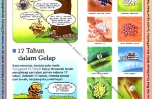 Ebook Legal dan Printable Aku Anak Cerdas Serangga dan Tumbuhan 1, 17 Tahun dalam Gelap (9)