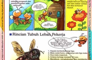 Ebook Legal dan Printable Aku Anak Cerdas Serangga dan Tumbuhan 1, Lebah Pekerja yang Selalu Sibuk (14)