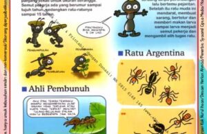 Ebook Legal dan Printable Aku Anak Cerdas Serangga dan Tumbuhan 1, Ratu Semut (18)