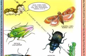 Ebook Legal dan Printable Aku Anak Cerdas Serangga dan Tumbuhan 2, Hama Serangga (17)