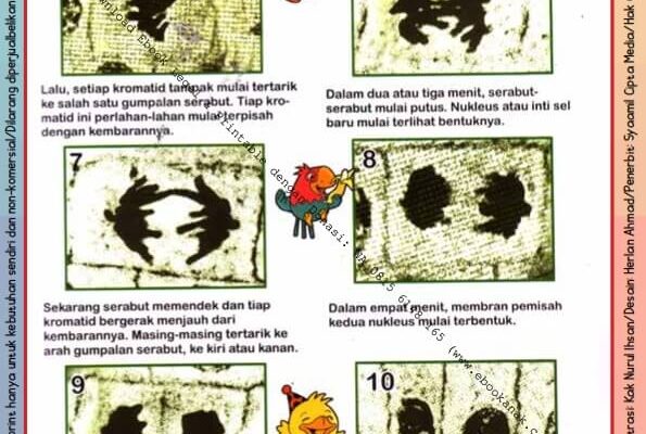 Ebook Legal dan Printable Aku Anak Cerdas Serangga dan Tumbuhan 2, Pembelahan Sel Menjadi Dua (25)