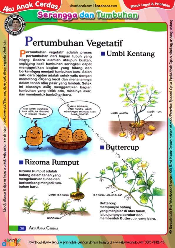 Ebook Legal dan Printable Aku Anak Cerdas Serangga dan