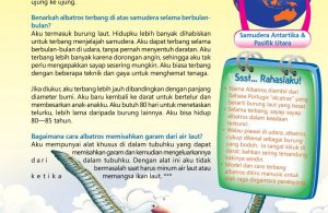 Ensiklopedia Binatang Pemecah Rekor, Albatros Burung Bersayap Terpanjang di Dunia (1)