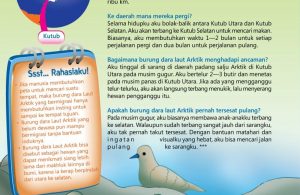 Ensiklopedia Binatang Pemecah Rekor, Burung Dara Laut Arktik, Burung Penjelajah Terjauh di Dunia (2)