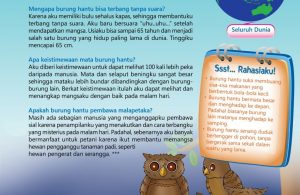 Ensiklopedia Binatang Pemecah Rekor, Burung Hantu, Burung Pemutar Kepala