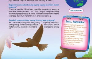 Ensiklopedia Binatang Pemecah Rekor, Burung Layang-Layang, Burung Penerbang Terlama di Dunia (5)