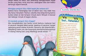 Ensiklopedia Binatang Pemecah Rekor, Penguin Fairy, Penguin Terkecil di Dunia