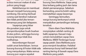 Kasuari dan Dara Mahkota (Papua) 101 Cerita Nusantara87