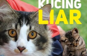 Majalah Digital Catlovers Edisi 14: Razia Kucing Liar